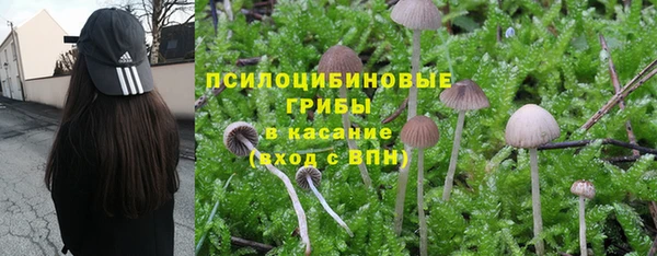 винт Абдулино