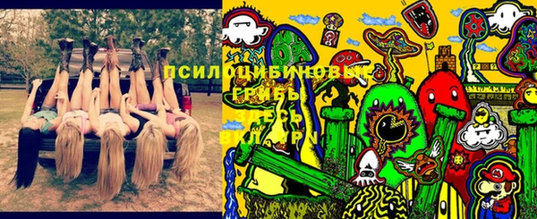 прущая мука Абаза