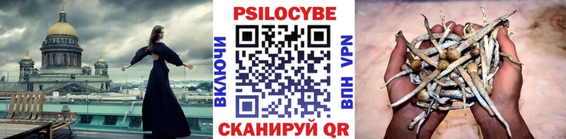 Галлюциногенные грибы MAGIC MUSHROOMS Чекалин